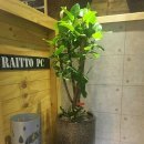 뱅갈PC방 이미지