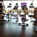 Flex Gym 네이버블로그