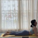 요기쿤스트