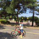 금성어린이공원 이미지