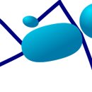 해보는집 이미지