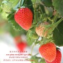 위즈캐슬어린이집 이미지
