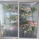 꽃사세오