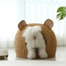 펫하우스애견 이미지