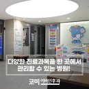 코미이비인후과의원 네이버블로그