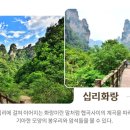 무릉도원 - 익산시 고도5길 17-2 | 무릉도원