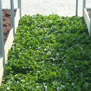 가재울공영주차장 이미지