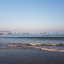 신두리해수욕장 이미지