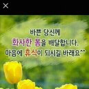 멋진하루 이미지