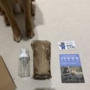 목욕하는 강아지 | 강아지저자극샴푸 추천, 예민한 피부병에도 안심하고 쓰는 애견샴푸 사용후기