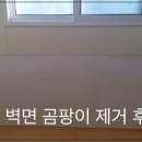 청소닥터 - 증평군 삼보로1길 38 | 청소닥터