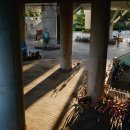 뚝섬한강공원-67 이미지