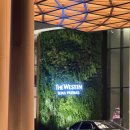 아시안 | 웨스틴 서울 파르나스 &#39;아시안 라이브&#39; 방문 후기