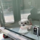 쿨펫이마트 목동점 동물병원 이미지