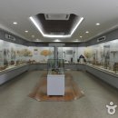 한국대나무박물관 이미지