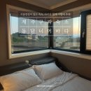 돌담너머바다 | 제주 구좌 숙소 ‘돌담너머바다’ 솔직 후기, 아이들과 강아지와 함께한 가족 여행
