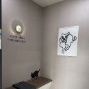 24시청주나음동물메디컬 | 우리 냥이를 위한 청주동물병원 찐후기