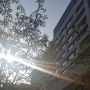 광원공인중개사사무소 이미지