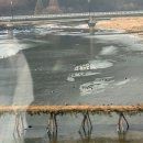 무릉도원면-20 이미지