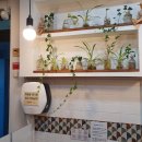 카페두드림 이미지