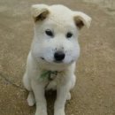 (주)성원전자 | 그대 작은 나의 세상이 되어 | 2026.01