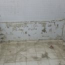 관리동화장실 이미지