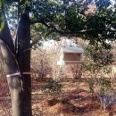 서울북한산초등학교 이미지