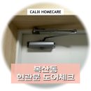 파래스 이미지