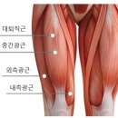 올라운더컨디셔닝센터 | [부산 진구] 올라운더 컨디셔닝센터 양정시청점 / 롯데자이언츠 야구코치, 물리치료사님이 해주시는...