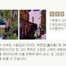 시립미술관 상설 전시 이미지