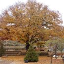 레인보우영동연수원_중강의실 이미지