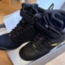 엘리트 복싱 | 복싱 입문자 추천 에버라스트 엘리트2 사이즈 팁과 리뷰 내돈내산