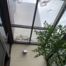 자라다의원 이미지