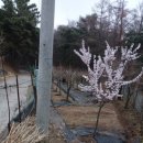 문석농장 네이버블로그
