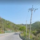 영월 북면 경사도 없는 반값임야 7200평 매가8천500만원 이미지