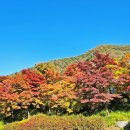 옛 철길 이미지