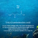 리치솔루션 이미지