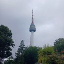 한양도성(남산구간) 이미지