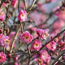 (주)새롬 이미지