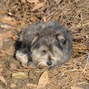 오수추어탕 이미지