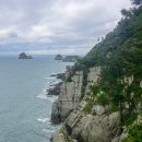 이기대 동생말 이미지