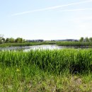 함평파크골프장 이미지