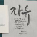 새나빛