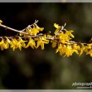 봄의언덕 이미지