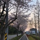 밑반찬 야간 이미지