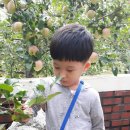 은별농장 이미지