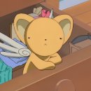 남도호텔 | [내돈내산] 조선호텔 남도식 포기김치 후기 (feat. 네이버 마켓컬리)