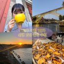 DA049 | [공지] 포르투 혼여🇵🇹 2박 3일/맛집 명소 숙소 꿀팁/내돈내산 후기/1일차🎒/해물밥 뽈뽀 그린 와인
