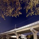 (주)딩동 서면점 | [일상] 노언더스탠드 박슐랭의 11월: 신발 Flex와 부산 맛집 탐방기