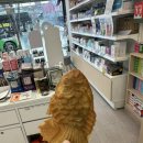 상수오아시스약국 이미지